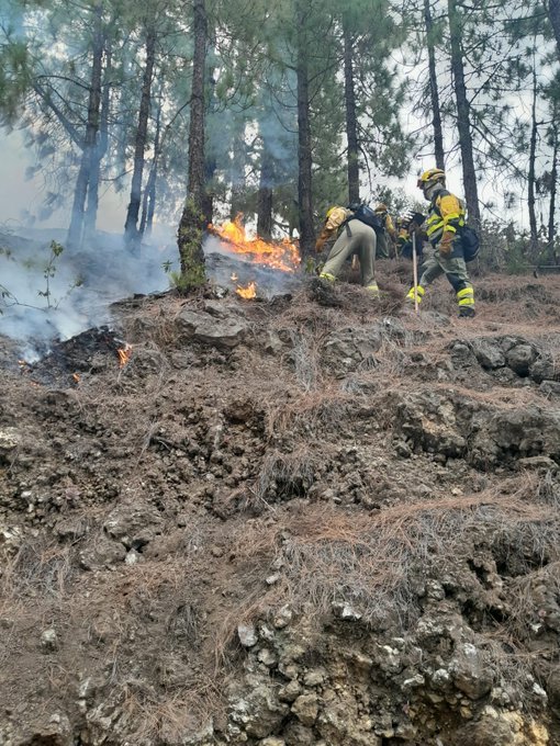 Miembros del BRIF de Puntagorda