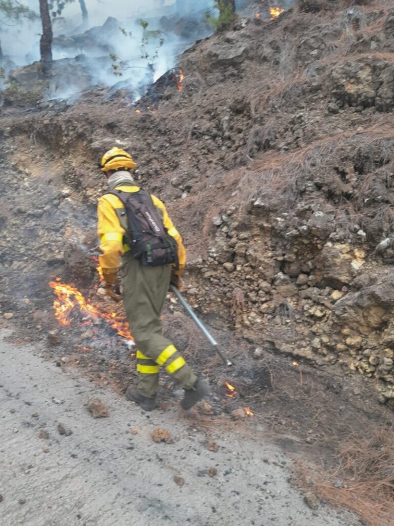 Miembros del BRIF de Puntagorda