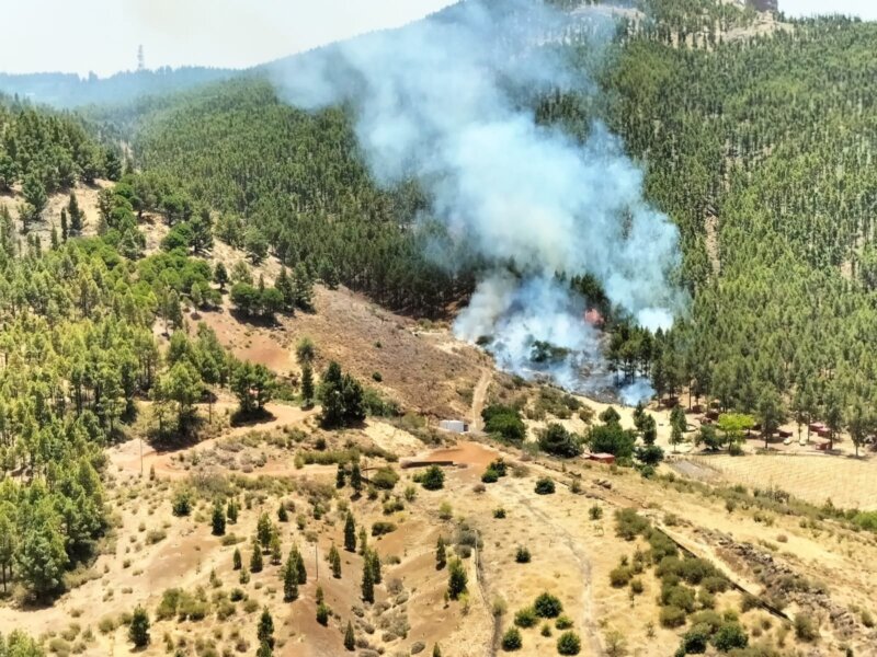 Imagen Incendio de Tejeda declarado este martes 25 de julio. Foto Cabildo de Gran Canaria