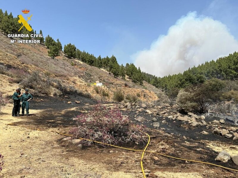 La Guardia Civil investiga a un joven como presunto autor del incendio de Gran Canaria. Foto: SEPRONA