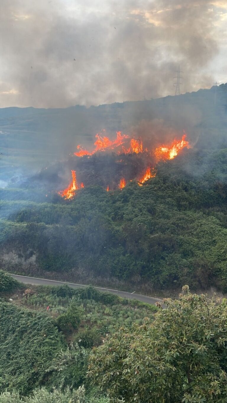 Controlado el incendio de Los Realejos
