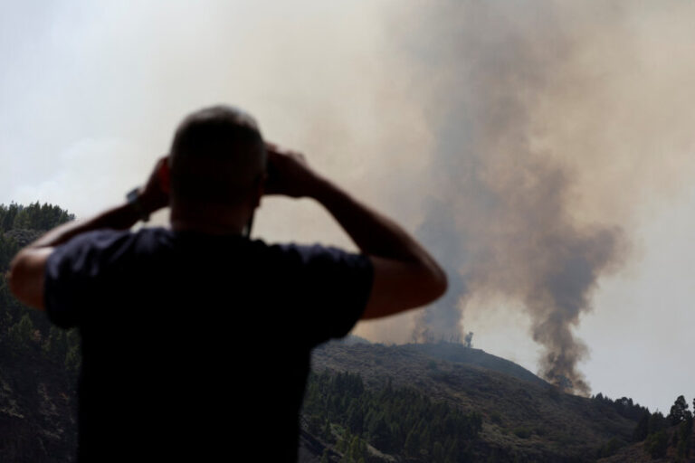 Cómo prevenir los incendios forestales en plena ola de calor en Canarias