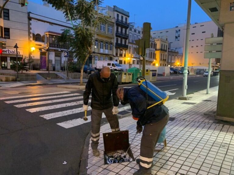 ‘Punto de Partida’ aborda este miércoles la gestión de plagas en las ciudades