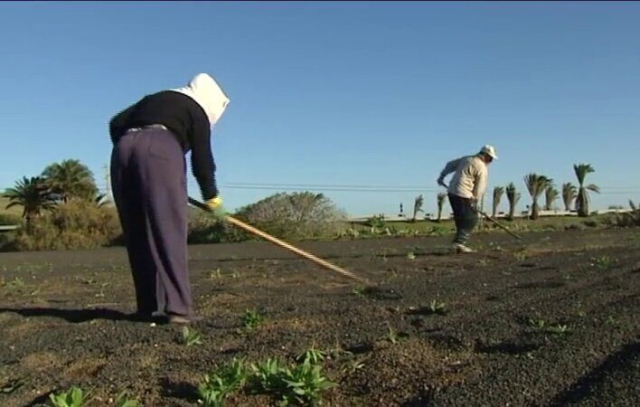 Las sequías provocan cambios en los cultivos del sector primario