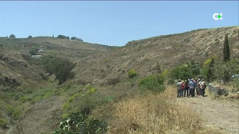 Gáldar, Guía y Agaete se oponen a la nueva línea eléctrica del Gobierno