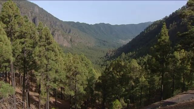 Impulsan un proyecto de sostenibilidad global en La Palma