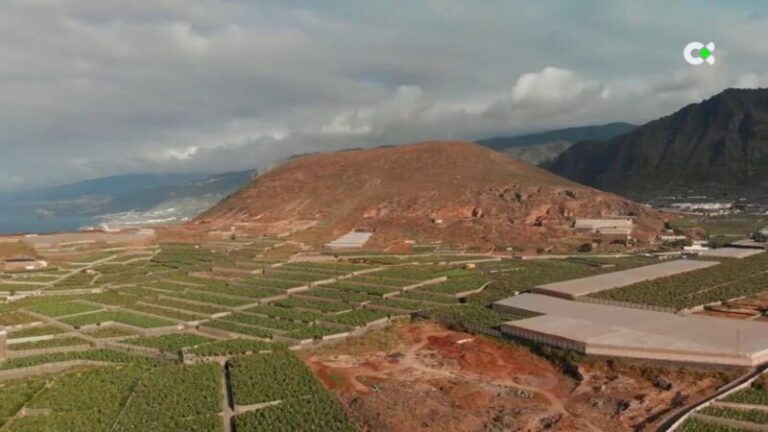 Agricultores tinerfeños solicitan medidas ante el déficit hídrico