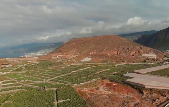 Agricultores tinerfeños solicitan medidas ante el déficit hídrico