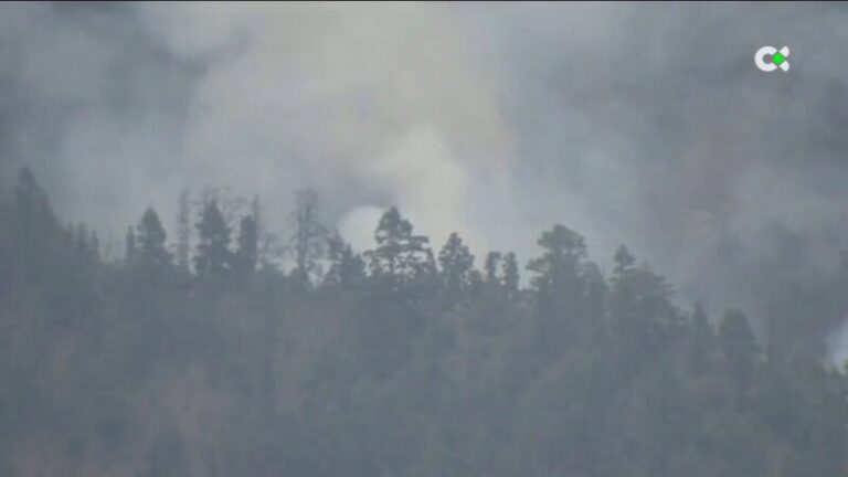 El incendio de La Palma se mantiene dentro del perímetro