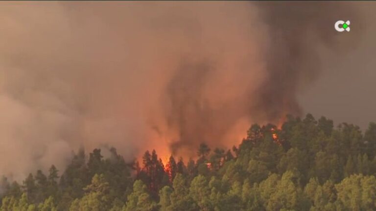 Atención y refuerzo para los afectados por el incendio de La Palma
