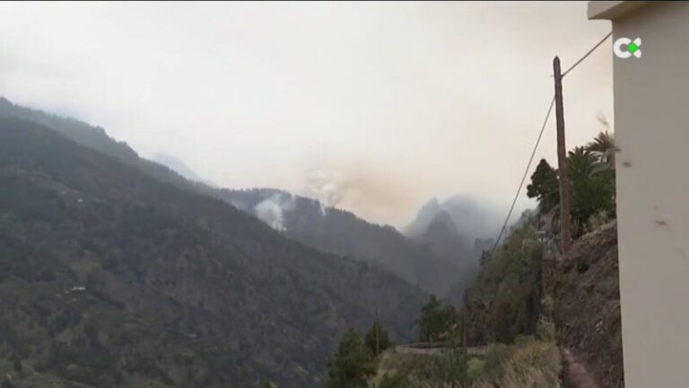 El incendio de La Palma pone en peligro a las especies endémicas