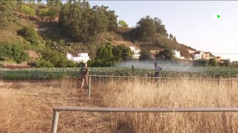 El Cabildo de Gran Canaria ofrece servicios de limpieza para prevenir incendios