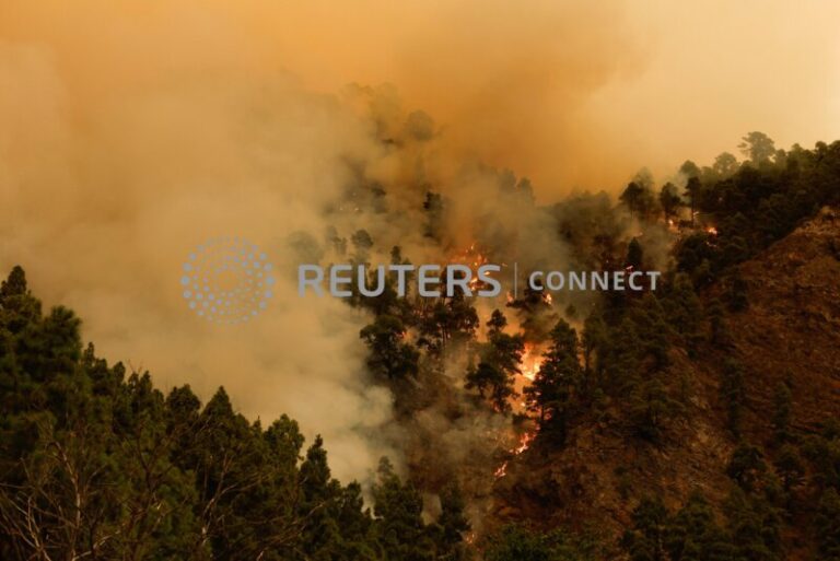 El incendio forestal de Tenerife afecta a seis municipios