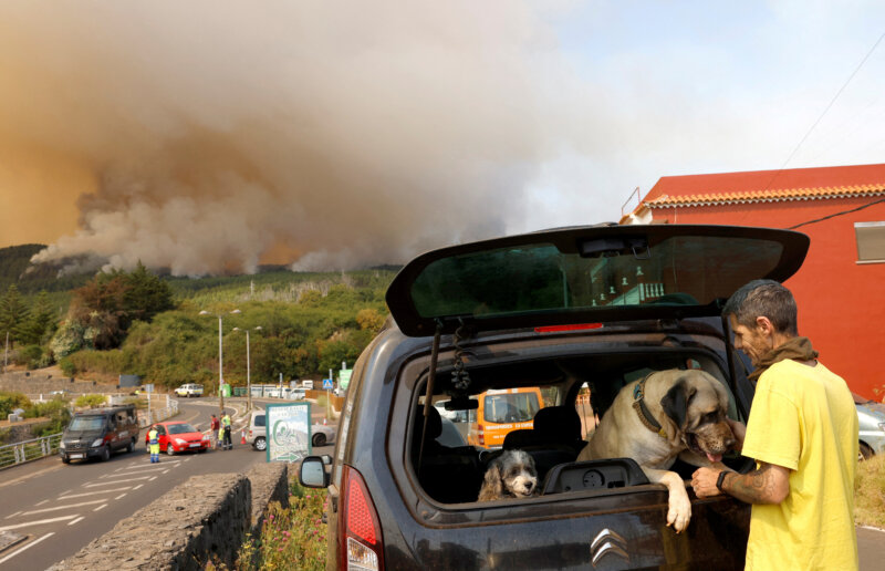Incendio declarado en Tenerife 17/08/23