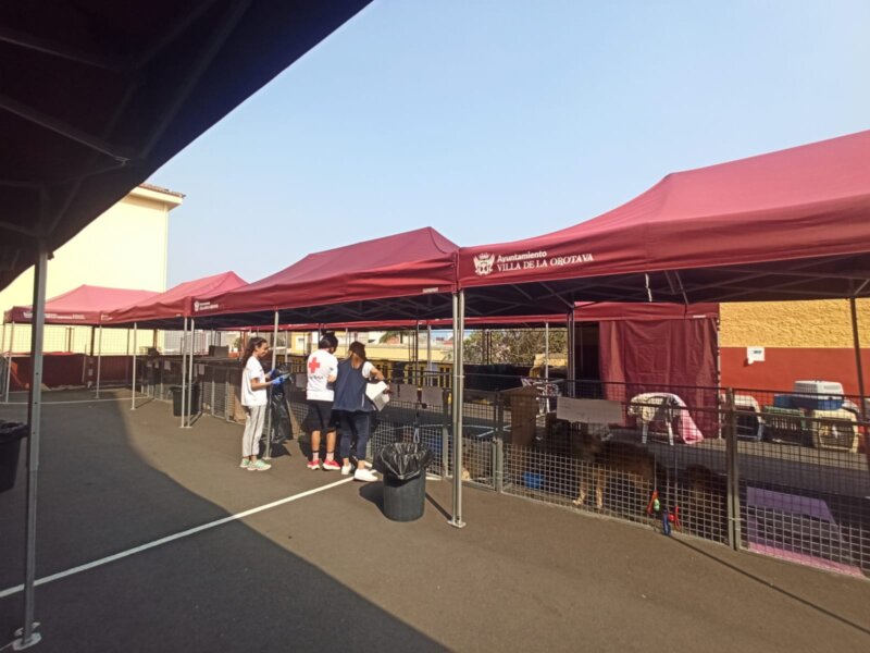 El incendio de Tenerife en imágenes