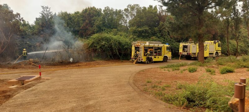 El incendio de Tenerife en imágenes