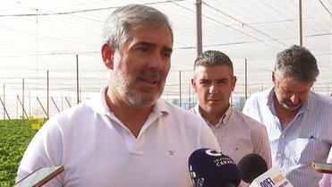 Clavijo fincas Güímar