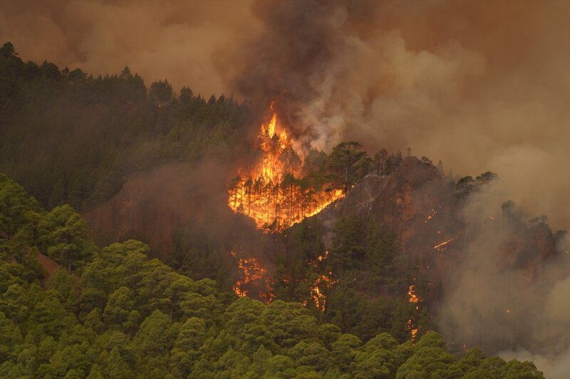 Incendio forestal Arafo y Candelaria (Tenerife)