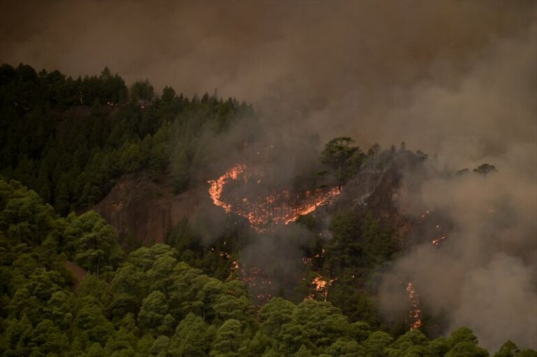 El incendio declarado en Arafo y Candelaria ha arrasado 1.800 hectáreas
