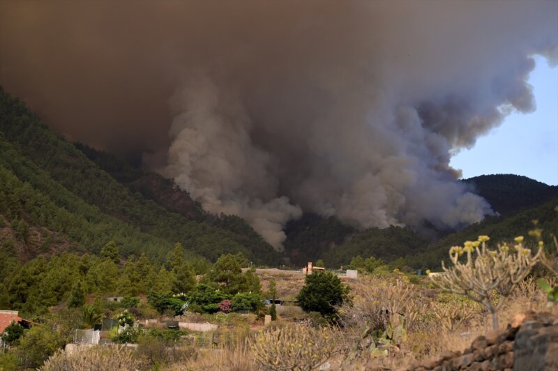 Incendio forestal Arafo y Candelaria (Tenerife)