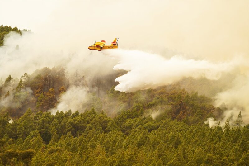 Incendio declarado en Tenerife 17/08/23