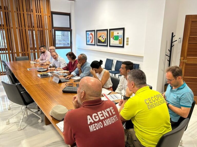 La Palma reestructura su Plan de Emergencias para «mayor operatividad»