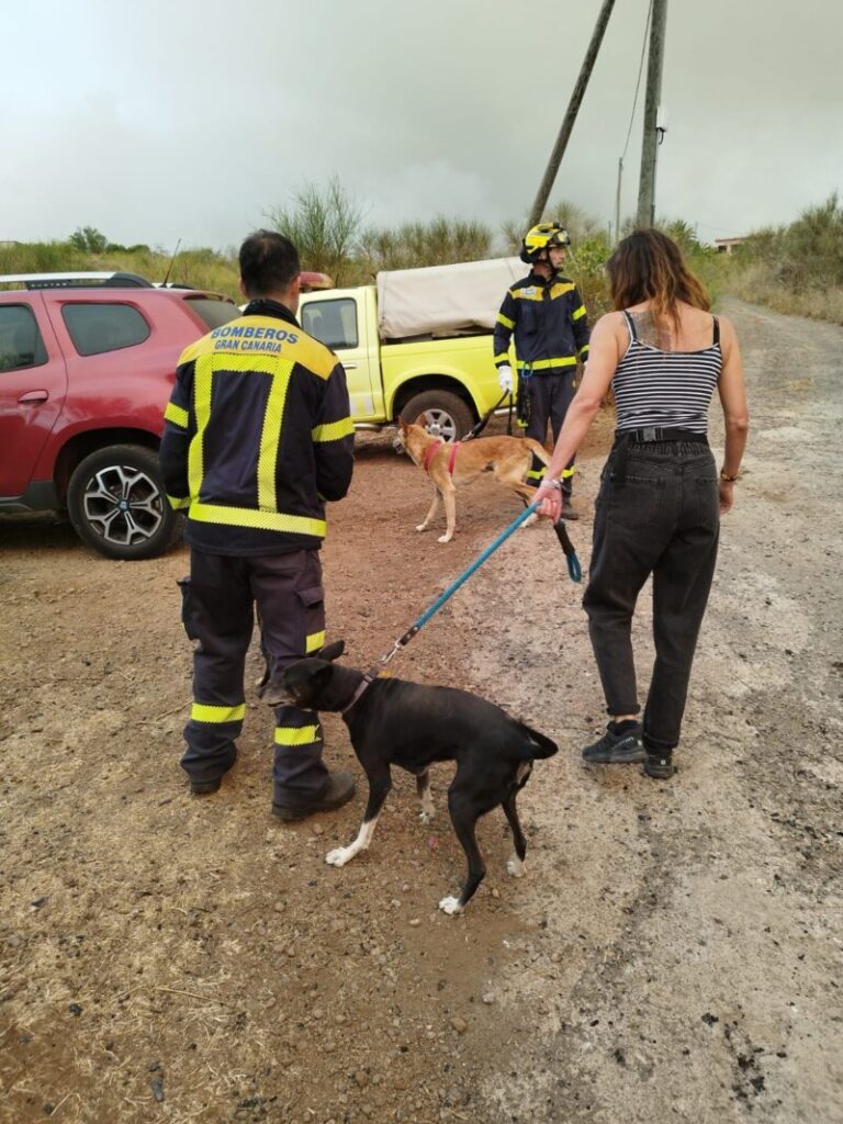 Incendio declarado en Tenerife 17/08/23
