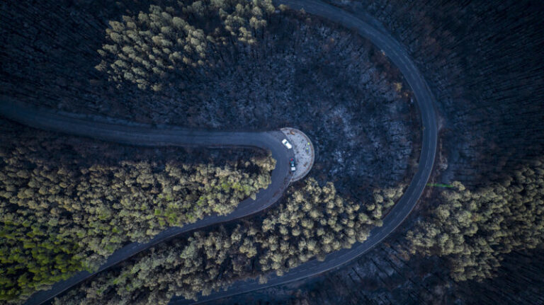 El Gobierno de Canarias prioriza la creación de la ley de diversidad medioambiental