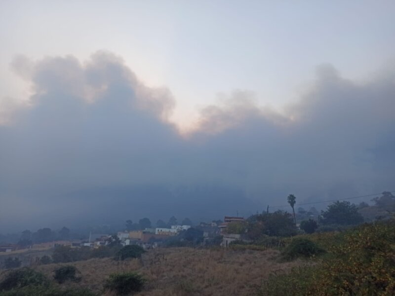 El incendio de Tenerife a primera hora de este viernes 18 de agosto desde La Orotava