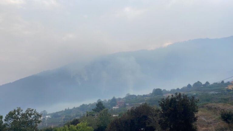 FOTOGALERÍA | El incendio de Tenerife en imágenes
