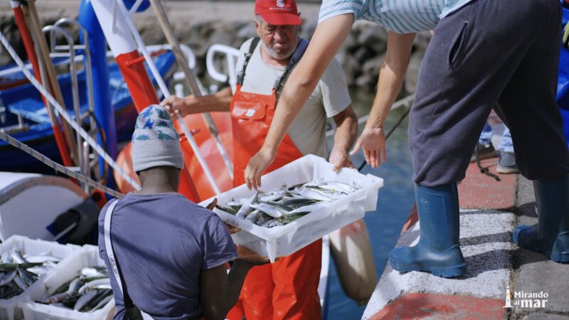 Mirando al Mar desde Los Cristianos