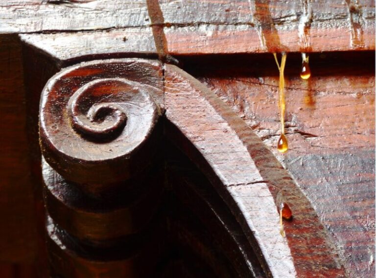 La Laguna celebrará en septiembre el XIV Maratón Fotográfico