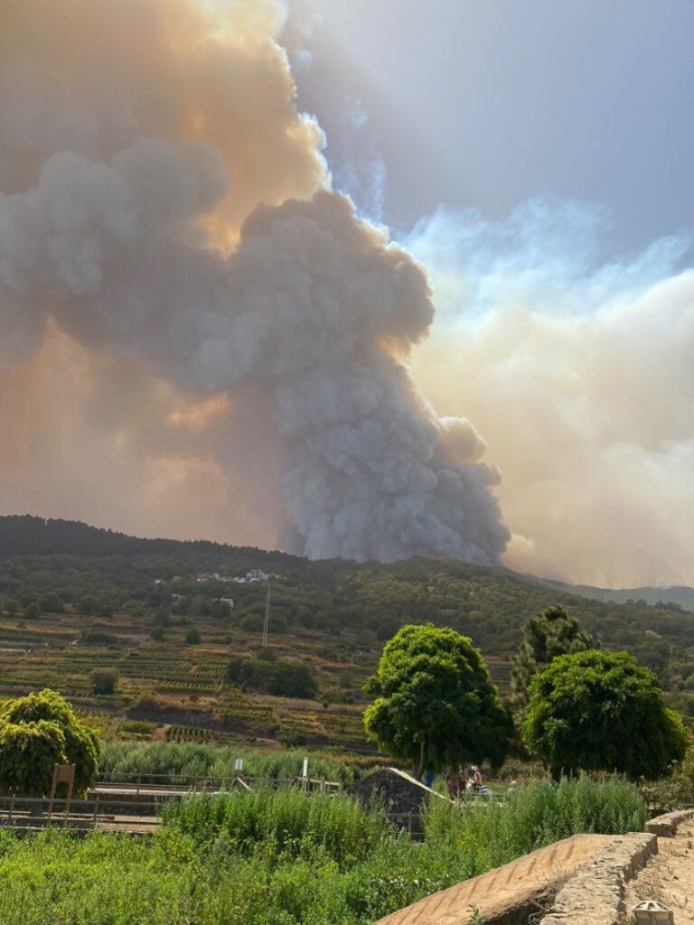 Imagen de @yasmigq_ (Instagram)