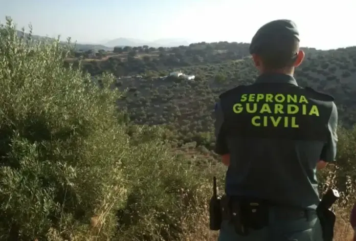 El SEPRONA detiene a dos personas en San Bartolomé de Tirajana y en Ingenio por delitos contra el bienestar animal