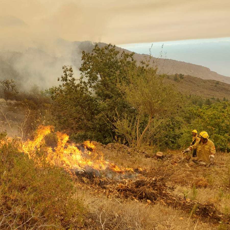 El incendio de Tenerife en imágenes