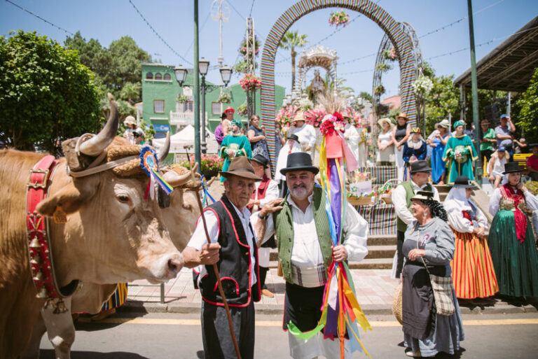 Televisión Canaria celebra la romería en honor a la Virgen de La Esperanza