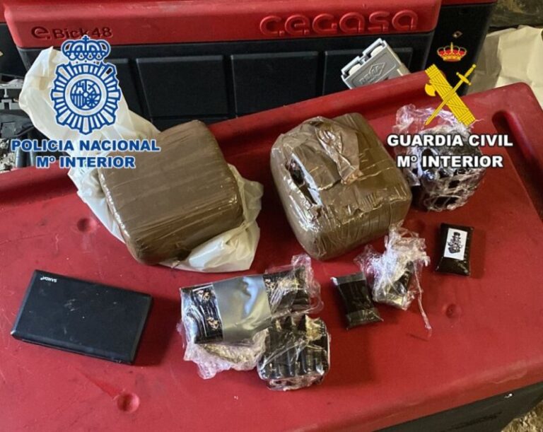 Desarticulada una organización criminal que robaba placas solares en Canarias