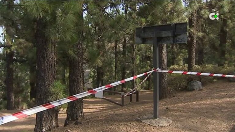 Ofrecen rutas alternativas para los peregrinos de Candelaria, Tenerife