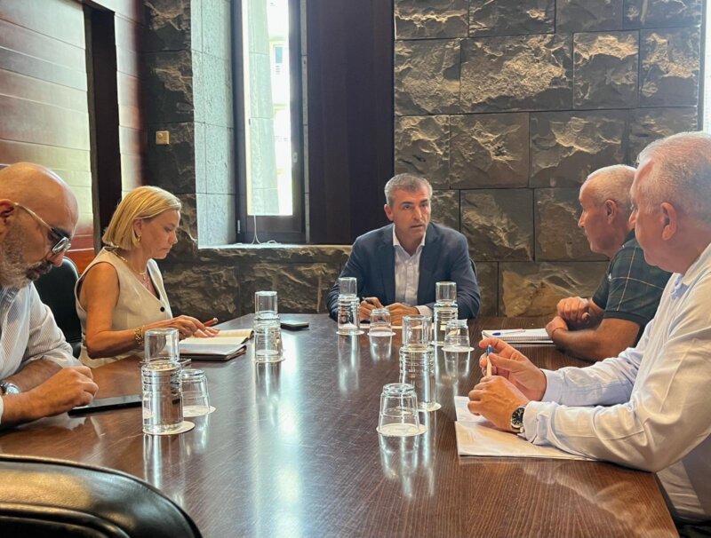 Domínguez aborda los problemas del taxi en Canarias con representantes del sector