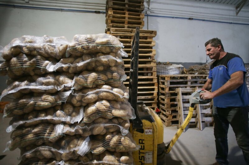 Un hombre trabaja en un almacén de papas / Europa Press
