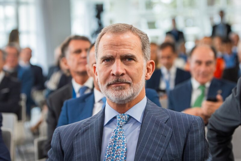 El rey Felipe VI