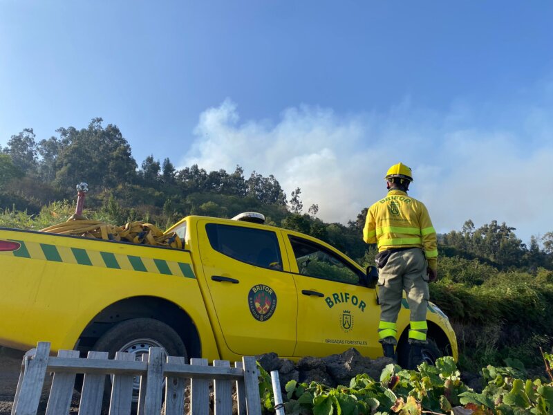 A pesar de que en menos de diez días el incendio de Tenerife cumplirá un mes desde que se originó, el fuego aún no están controlado, ello supone que todavía haya que lidiar con pequeñas reactivaciones