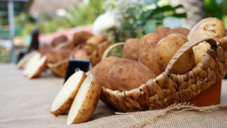 ‘De campo y mar’ apoya el consumo de la papa canaria