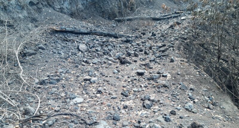 Continúa prohibido transitar por pistas y senderos del incendio