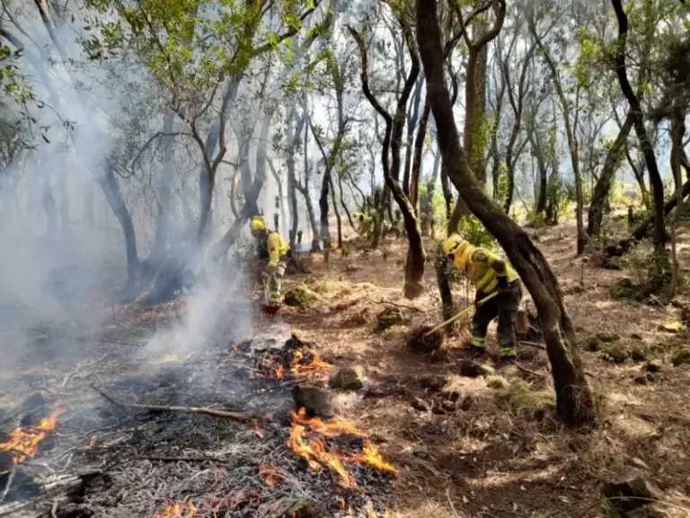 Continúan las labores en el incendio forestal de Tenerife