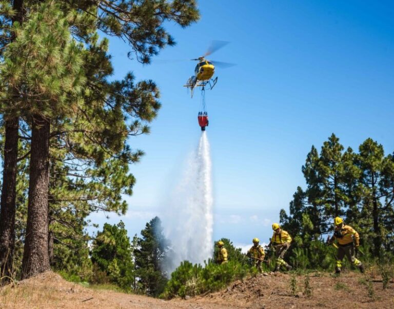 El Cabildo de Tenerife permite las actividades en los municipios no afectados por el incendio