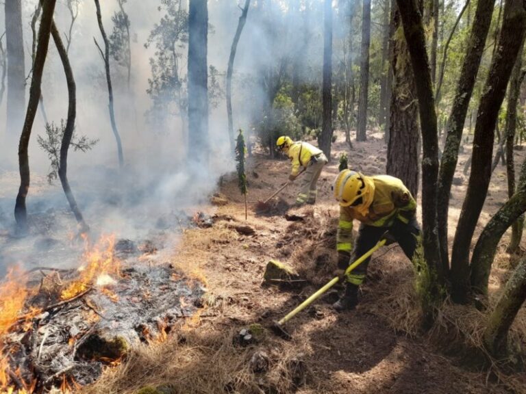 El Cabildo de Tenerife recuerda la prohibición de transitar por los montes afectados por el fuego