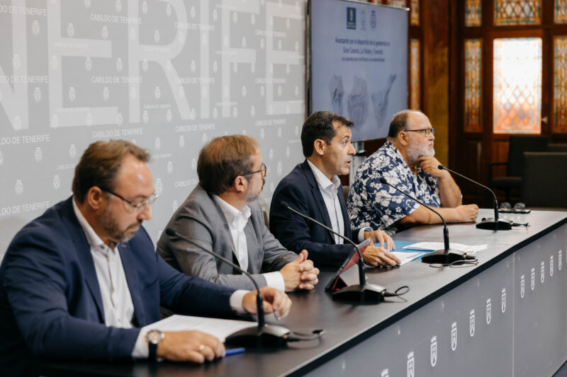 El proyecto en el que participan los Cabildos de La Palma, Gran Canaria y Tenerife se ha presentado en esta última institución este lunes / Cabildo de Tenerife