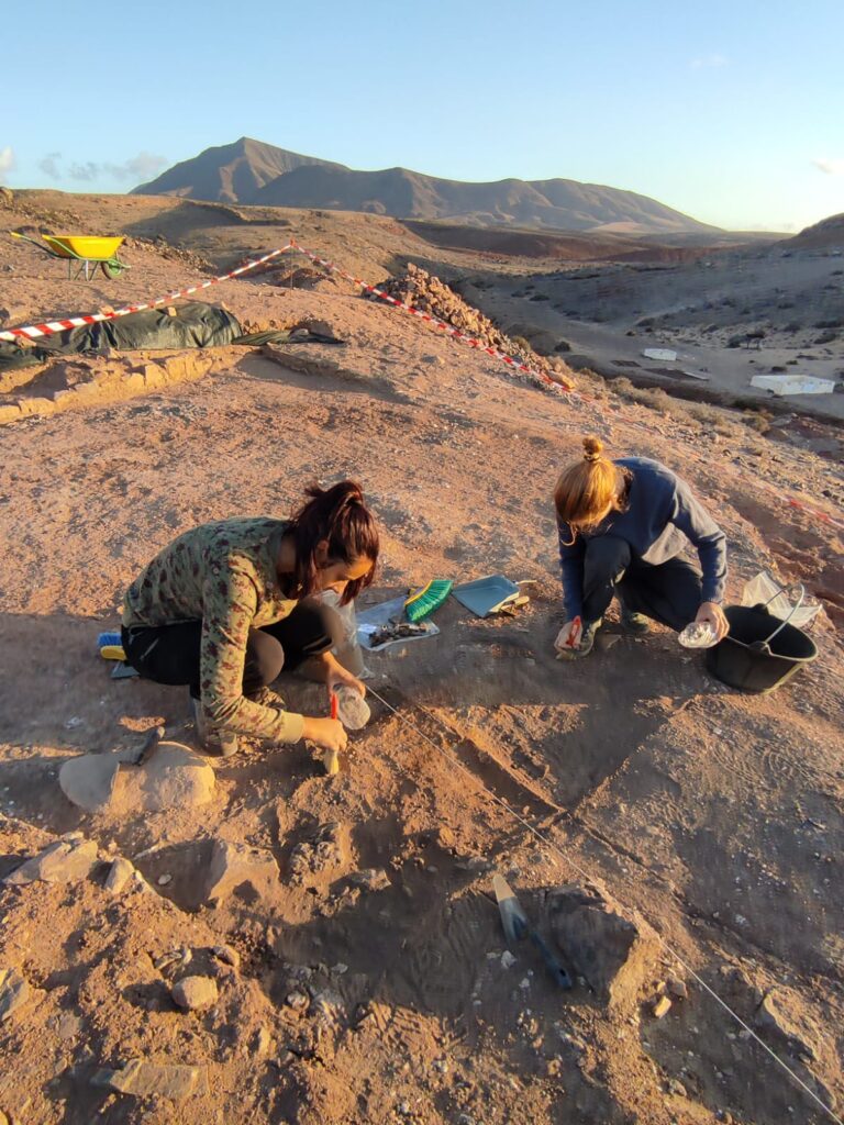 Describen siete nuevas especies de moluscos fósiles en las islas orientales de Canarias