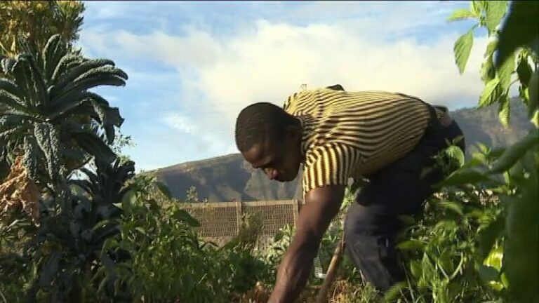Boido, un ejemplo de integración en Canarias